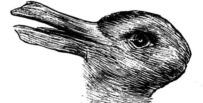 Illusion - Rabbit or a Duck?
