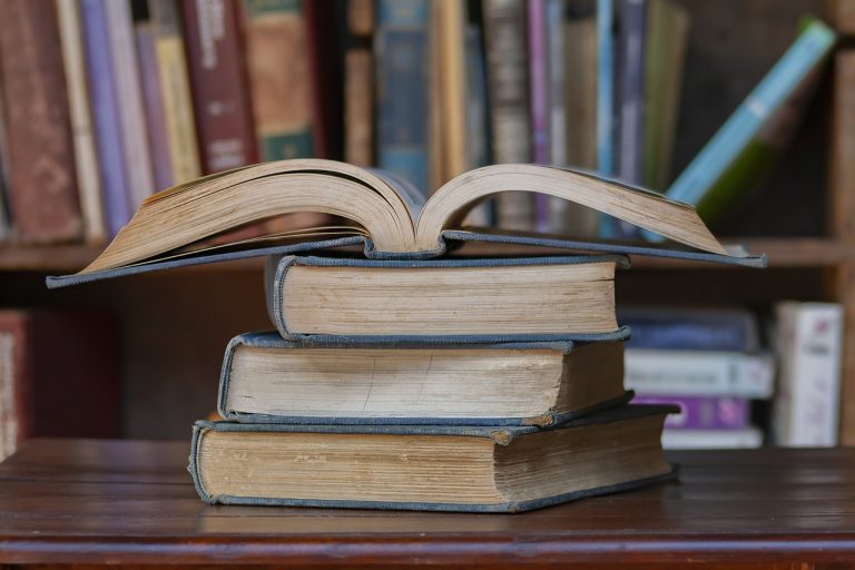 disiplin.,kontinuerlig prosess,selvstendighet,strukturer,veiledning,lærdom på egen hånd,å være autodidakt,Jeg droppet ut av skolen,moderne arbeidsliv