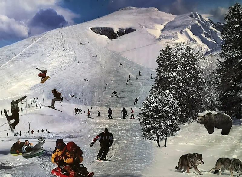 Fotomontasje av en travel alpinbakke med mange skiløpere, snowboardere og akende barn i aktivitet, mens en bjørn og flere ulver urealistisk dukker opp i skogkanten ved siden av bakken.