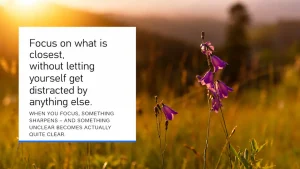Purple wildflowers glowing in a sunlit meadow at sunset, symbolizing focus, concentration, and the ability to filter out distractions in order to see more clearly what matters most.