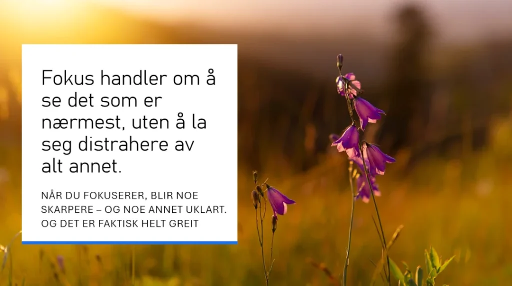 En eng med lilla klokkeblomster i solnedgang. I forgrunnen er en skarp blomst i fokus, mens bakgrunnen er uskarp. Over bildet ligger en tekstboks med budskapet: 'Fokus handler om å se det som er nærmest, uten å la seg distrahere av alt annet.