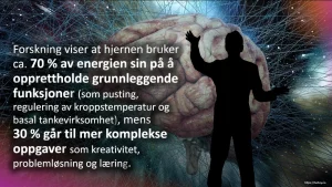 Forskning viser at hjernen bruker ca. 70 % av energien sin på å opprettholde grunnleggende funksjoner (som pusting, regulering av kroppstemperatur og basal tankevirksomhet), mens 30 % går til mer komplekse oppgaver som kreativitet, problemløsning og læring. (Kilde: Neuroscience of Consciousness, 2019)