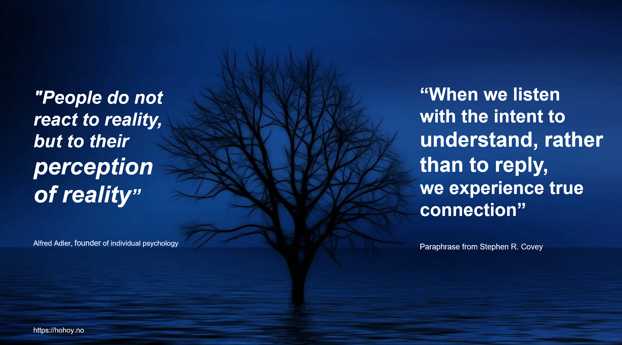 Et minimalistisk bilde av et ensomt tre uten blader som står i vann under en mørkeblå himmel. På venstre side står sitatet: 'People do not react to reality, but to their perception of reality' av Alfred Adler, grunnleggeren av individualpsykologien. På høyre side står sitatet: 'When we listen with the intent to understand, rather than to reply, we experience true connection,' en parafrase fra Stephen R. Covey. Nederst står teksten 'https://hohoy.no'.