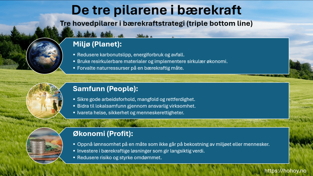 Et bilde som viser de tre pilarene i bærekraftstrategi:
1) Miljø (Planet):
* Redusere karbonutslipp, energiforbruk og avfall.
* Bruke resirkulerbare materialer og implementere sirkulær økonomi.
* Forvalte naturressurser på en bærekraftig måte.
2) Samfunn (People):
* Sikre gode arbeidsforhold, mangfold og rettferdighet.
* Bidra til lokalsamfunn gjennom ansvarlig virksomhet.
* Ivareta helse, sikkerhet og menneskerettigheter.
3) Økonomi (Profit):
* Oppnå lønnsomhet på en måte som ikke går på bekostning av miljøet eller mennesker.
* Investere i bærekraftige løsninger som gir langsiktig verdi.
* Redusere risiko og styrke omdømmet.