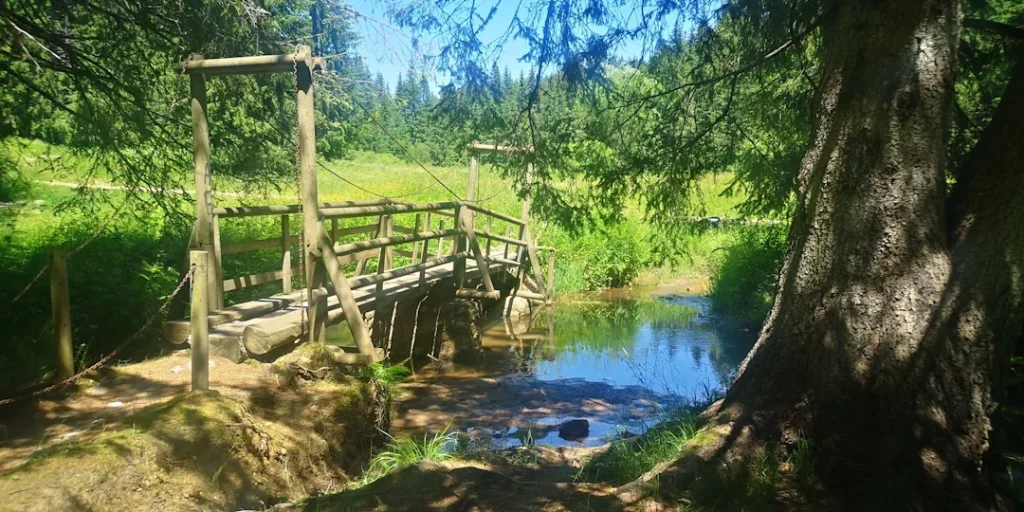 Trebro over bekk i Elatia-skogen i Nord-Hellas, omgitt av grantrær og grønn vegetasjon.