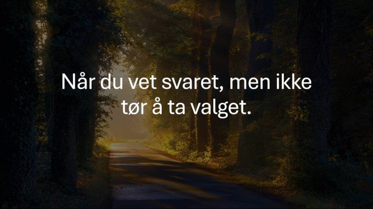 Sollys strømmer gjennom trær langs en skogkledd vei ved soloppgang. Midt i bildet står teksten: «Når du vet svaret, men ikke tør å ta valget.»