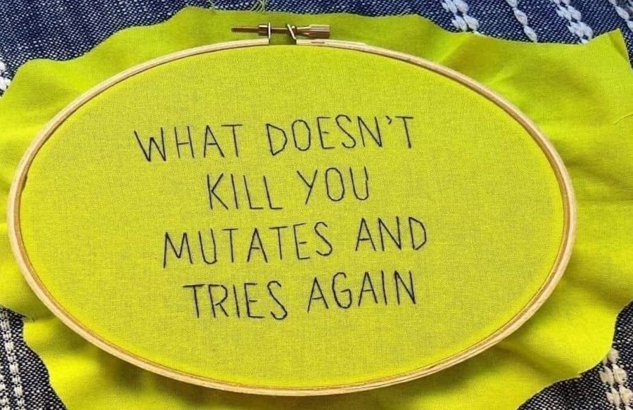 whatdoesentkillyou