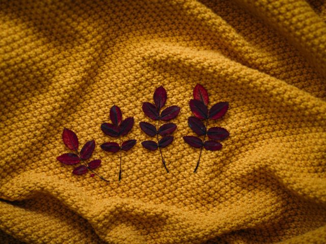 four brown leaves on textile
