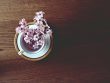 white and purple flowers in white ceramic cup