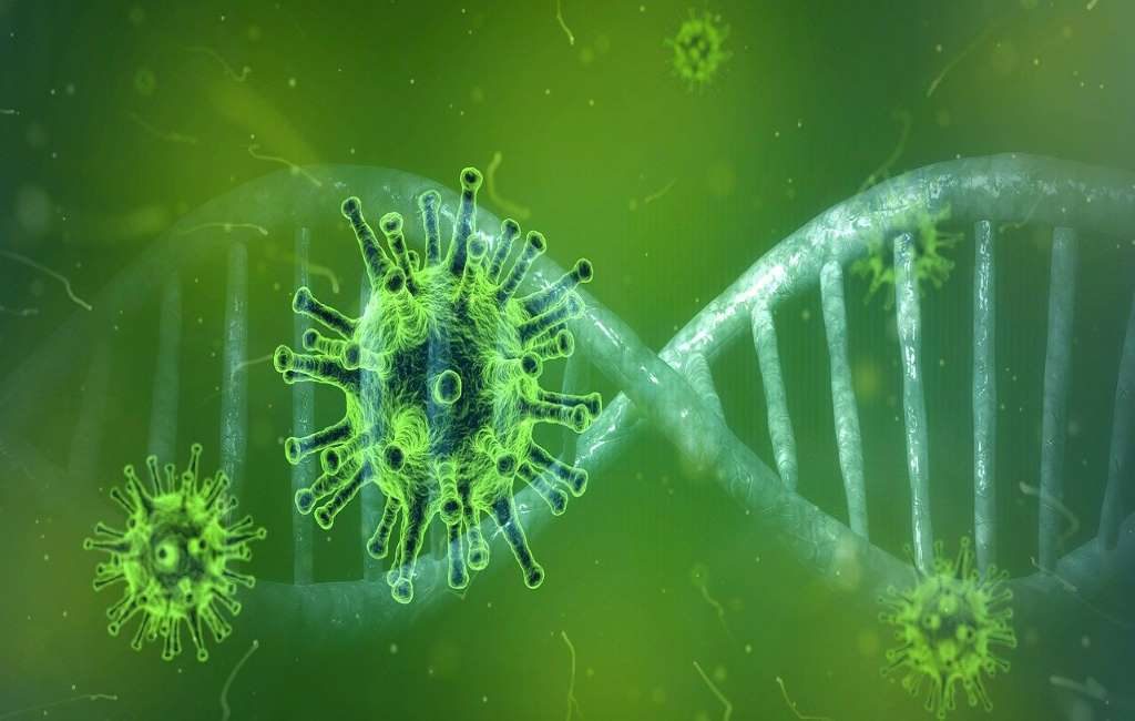 Detectada en los Países Bajos la variante brasileña del coronavirus