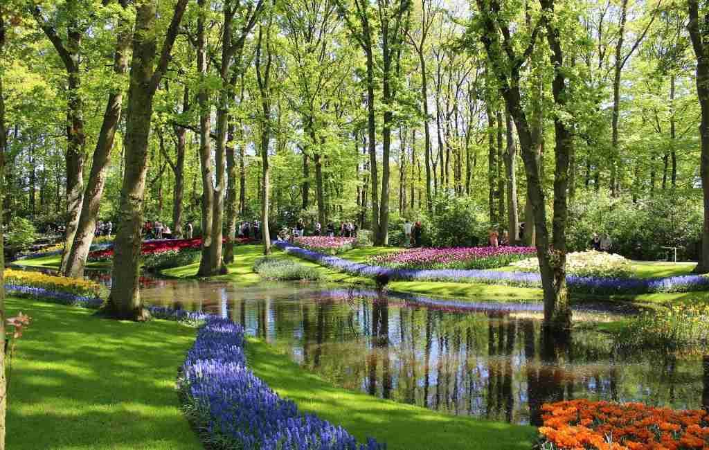 ABIERTO: Keukenhof, el jardín de Europa en los Países Bajos abre nuevamente