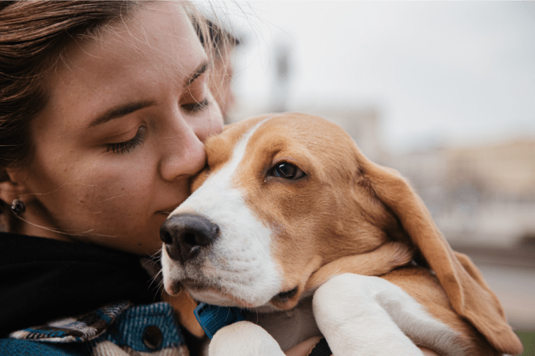 Deuil d'un Animal de Compagnie: Accepter/Honorer leur Mémoire