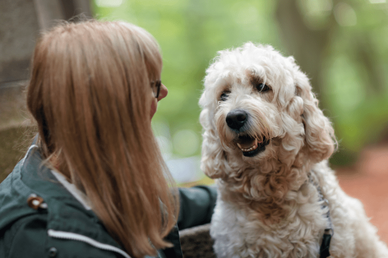 Comment Communiquer Efficacement avec Votre Animal de Compagnie