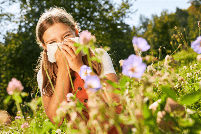 Les meilleures plantes pour soulager les allergies saisonnières