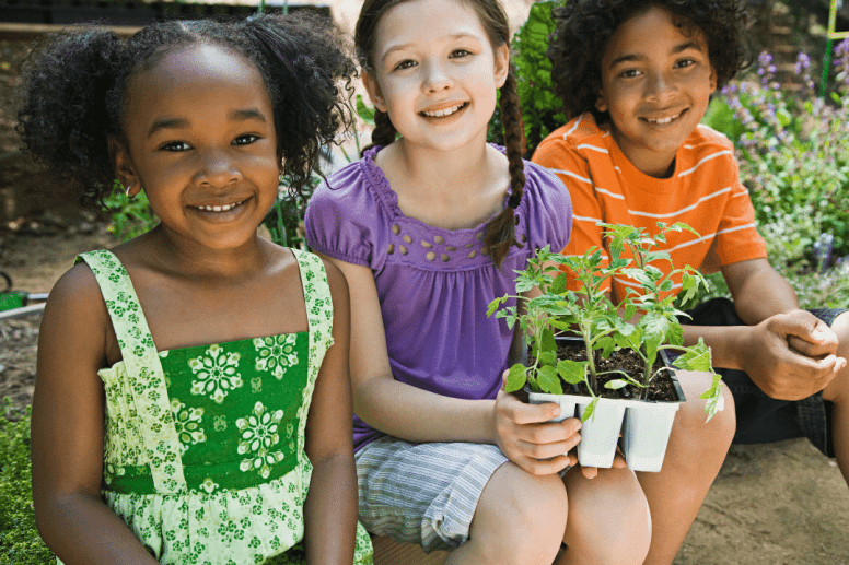 Plantes médicinales pour les enfants: Sécurité et utilisations