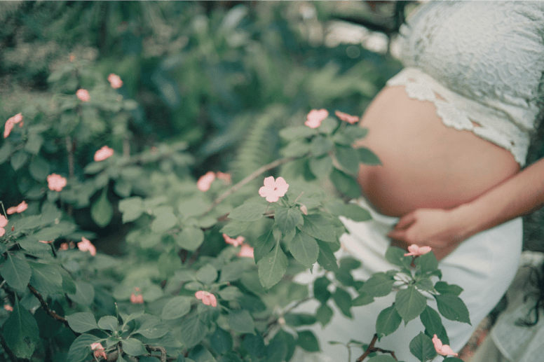 Plantes médicinales: Précautions pour les femmes enceintes