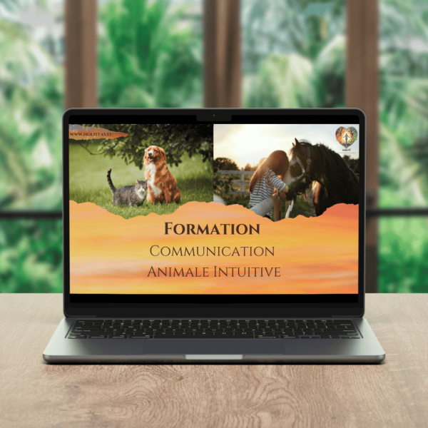 Formation: Communication animale intuitive