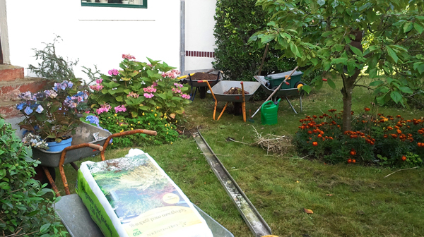Planter hortensier