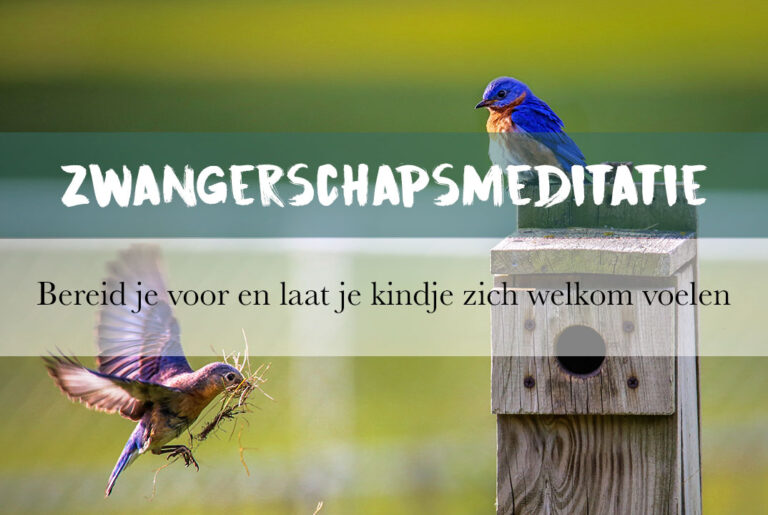 Meditatie zwangerschap vogels