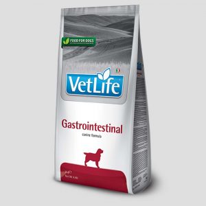 Vetlife Gastrointestinal hondenbrokken