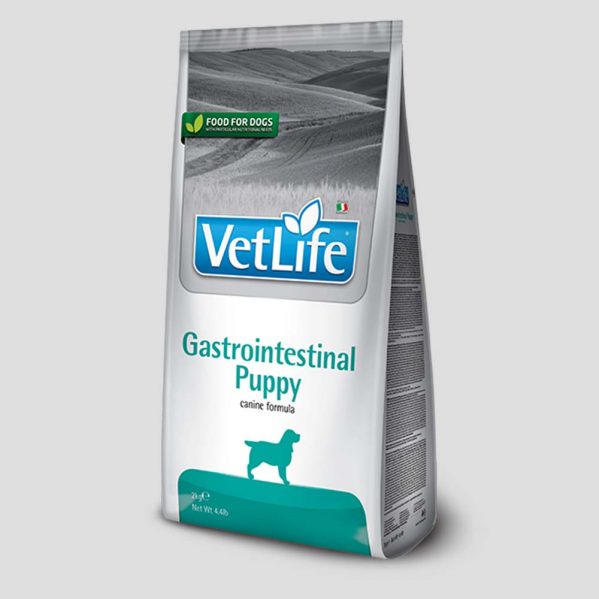 Vetlife Gastrointestinal Hondenbrokken voor puppy's