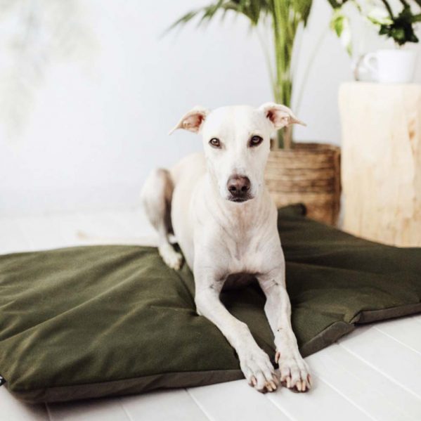 Een witte hond ligt op de waterafstotende, legergroene lodge mat voor honden van district70