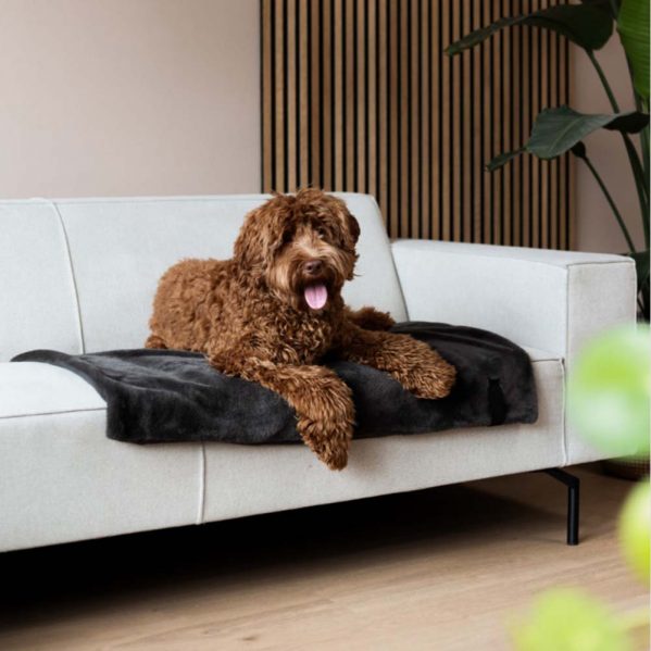 Een hond ligt in de sofa op zijn donkergrijs nuzzle hondendeken