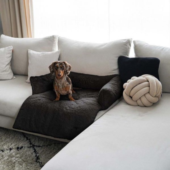 Een kleine hond geniet in de zetel van zijn donkergrijs nuzzle sofabed van District70