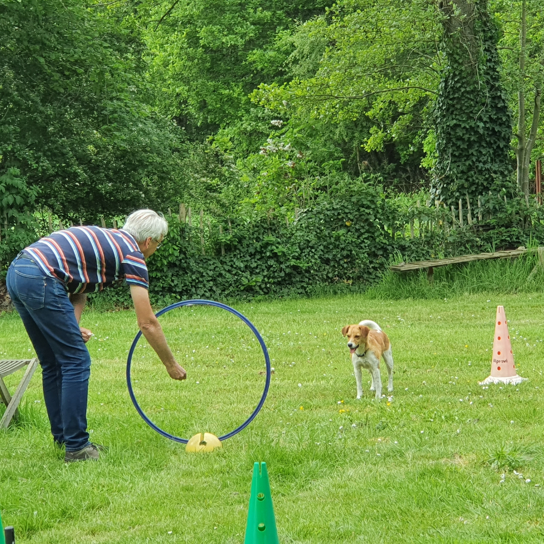 HondenSpiegel