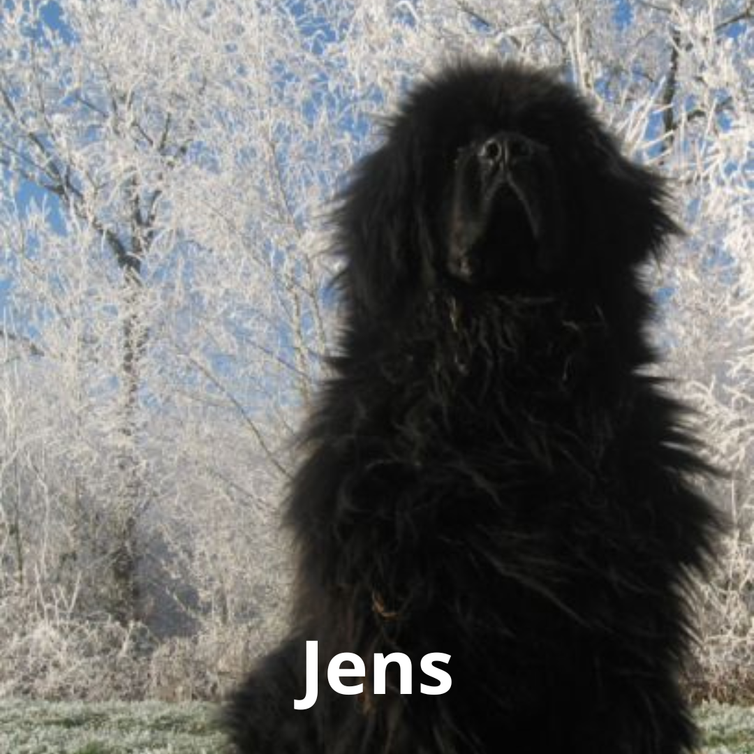 Jens