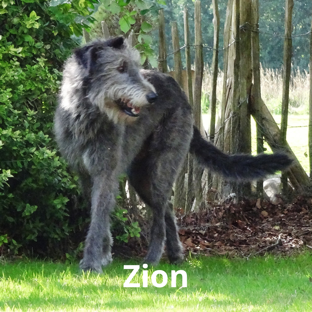 Zion