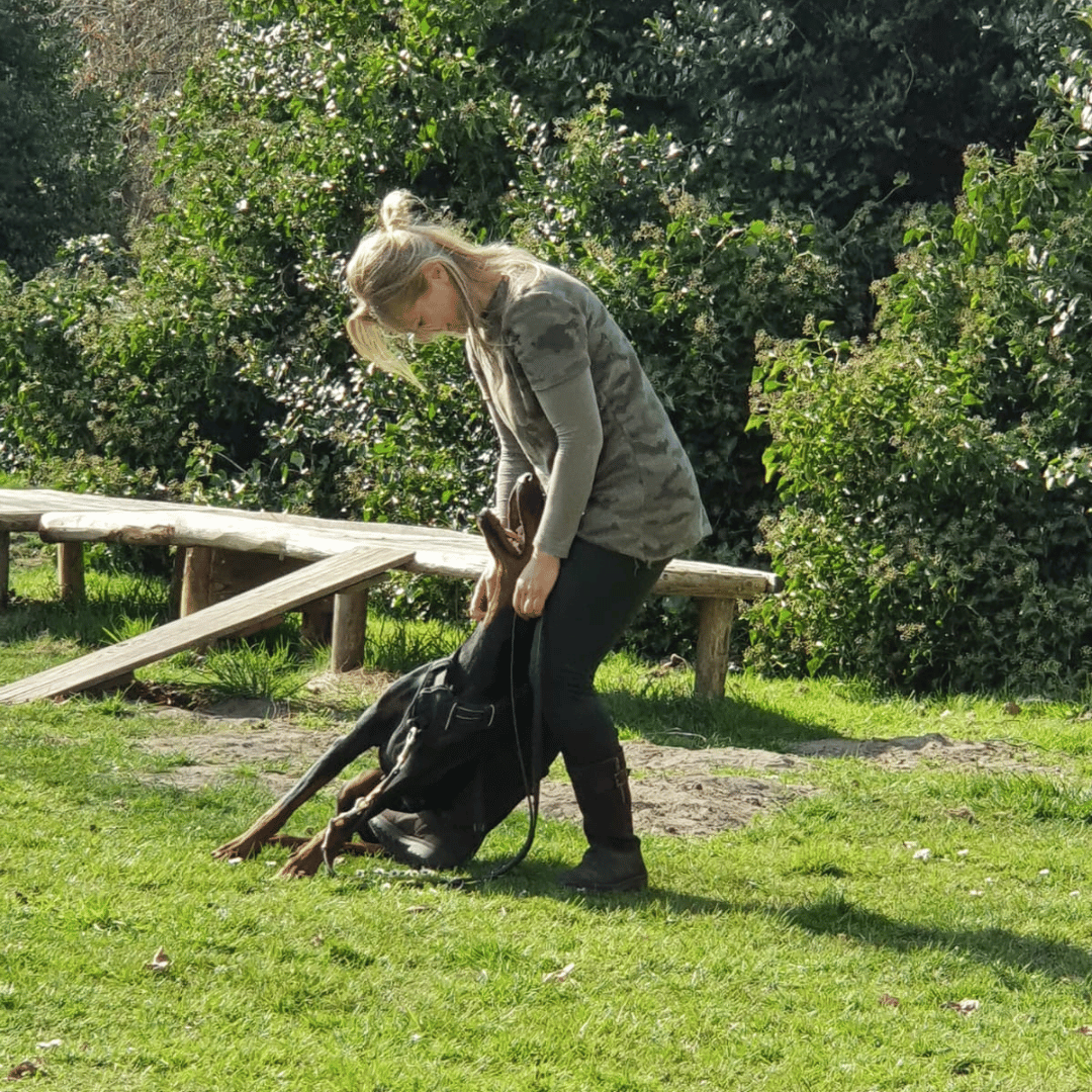 Cursist met haar eigen hond tegen haar aangeleund bij Ontdek de Spiegel van je eigen hond bij Hondenspiegel
