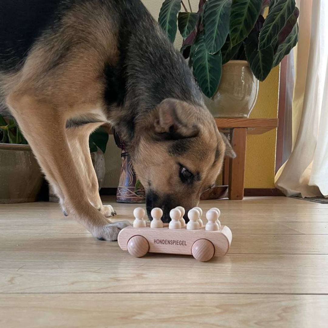 Systeem opstelling & jouw verlangen Hond snuffelt aan houten speelgoedtreintje bij HondenSpiegel