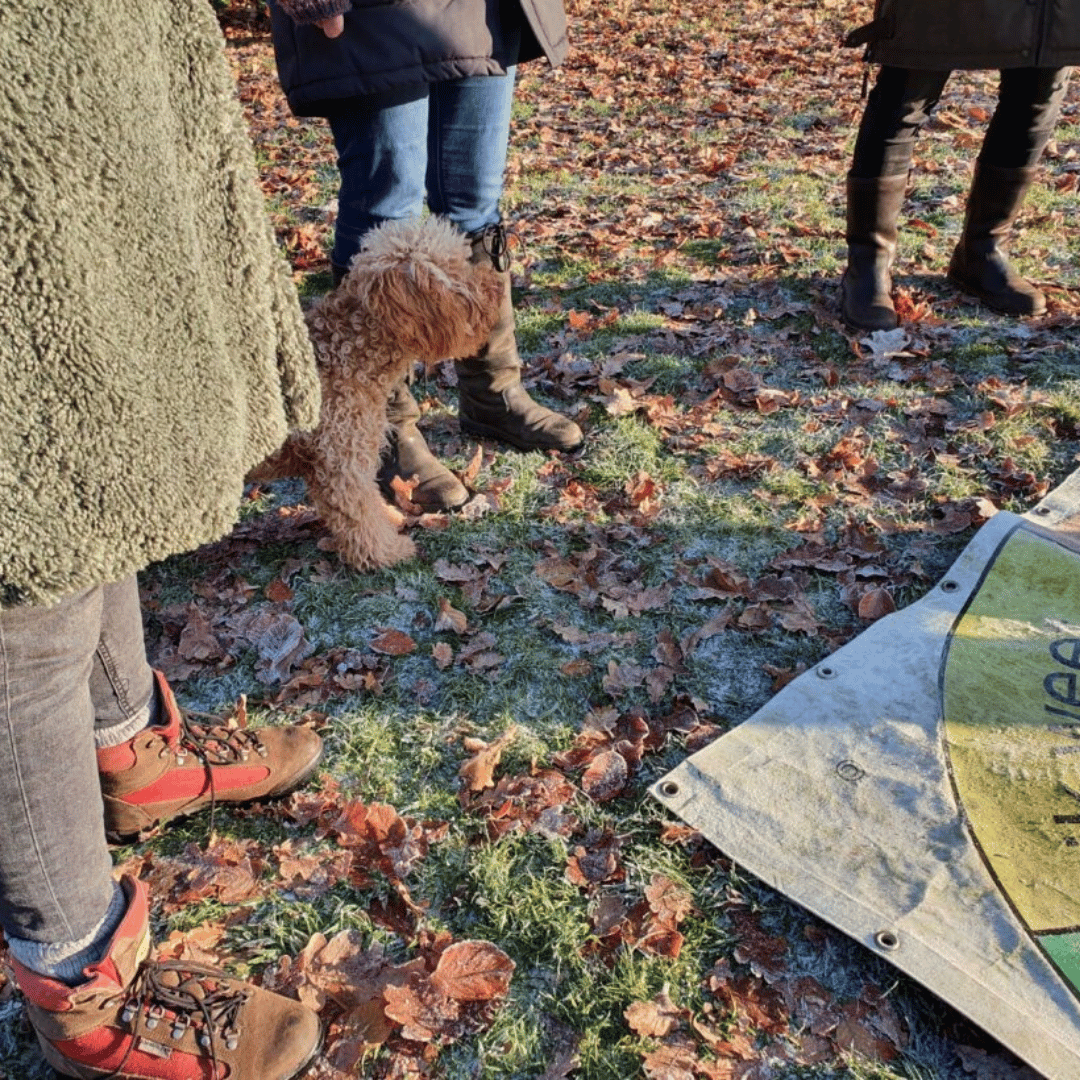 Workshop vertrouwen in jezelf bij HondenSpiegel