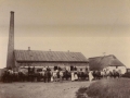Hornelund Andelsmejeri fra 1883