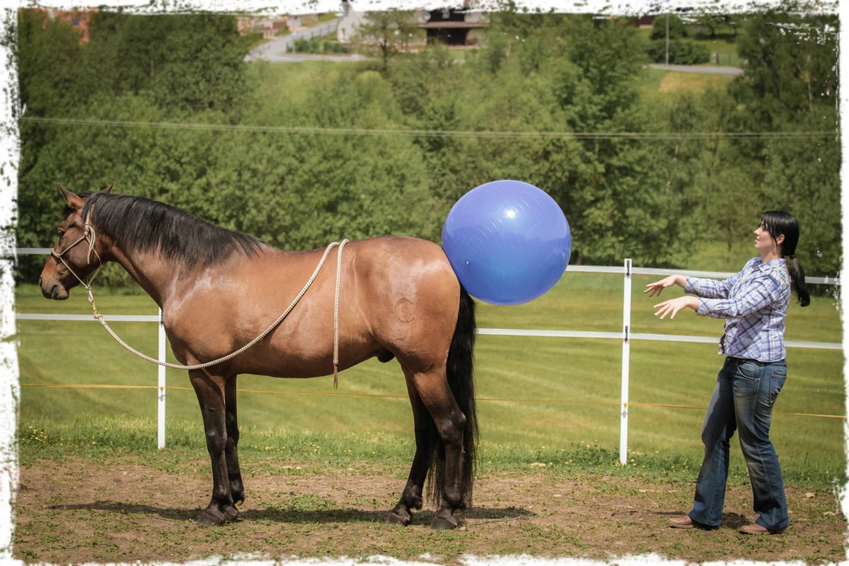 bodenarbeit_ball