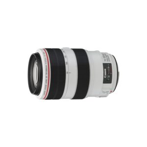 Canon EF 70-300mm F4-5.6L IS USM Lens