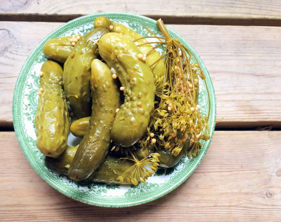 pickles fermented food