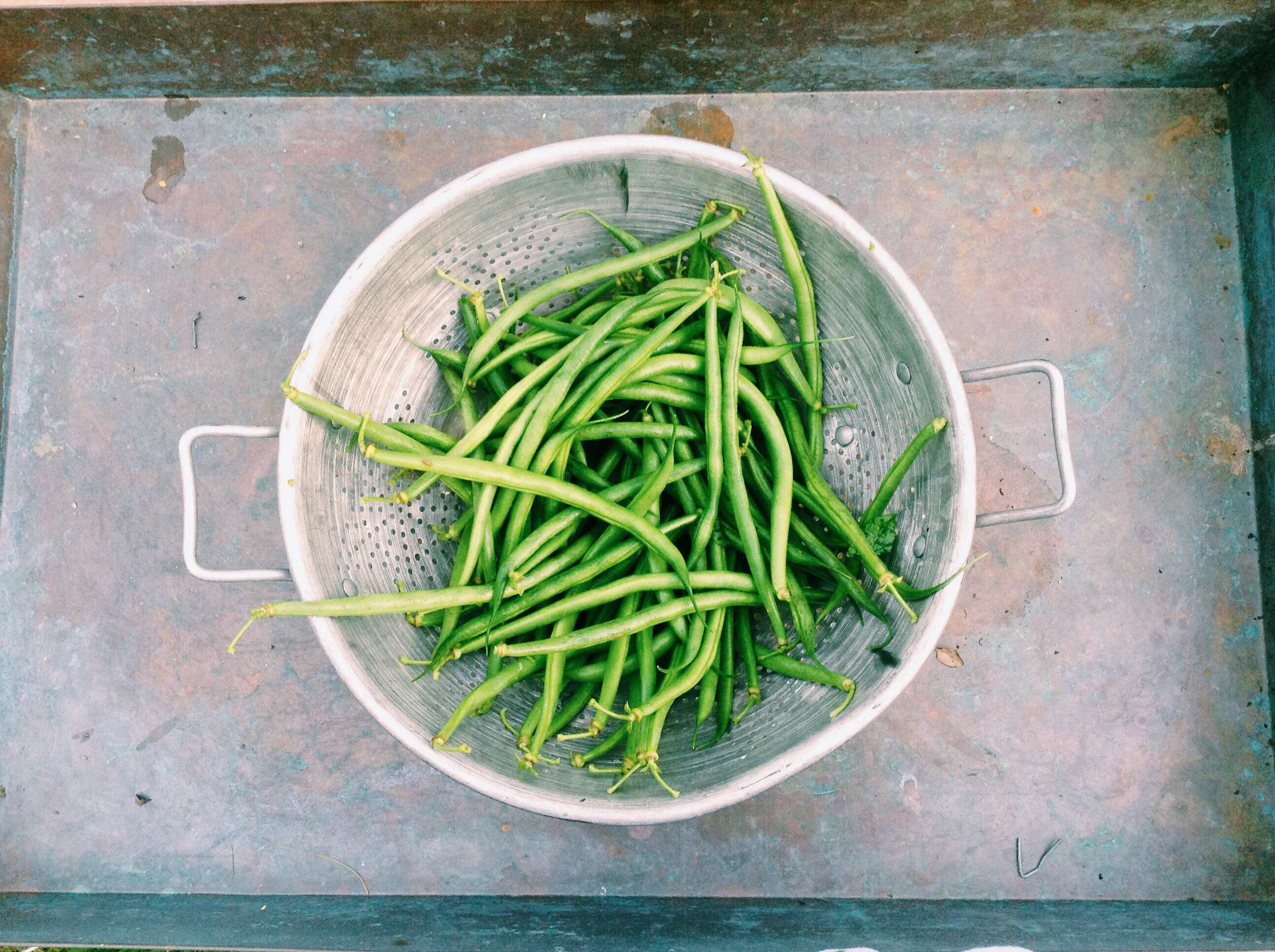 pexels-food-healthy-summer-green