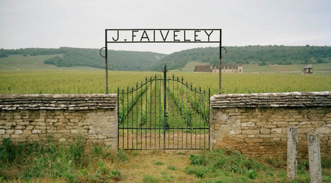 2004 Domaine Faiveley, Mercurey Clos Rochette Blanc, Bourgogne, Frankrig