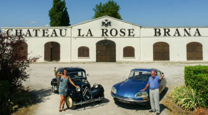 2009 Château Moulin Delille, Saint-Estephe, Bordeaux, Frankrig