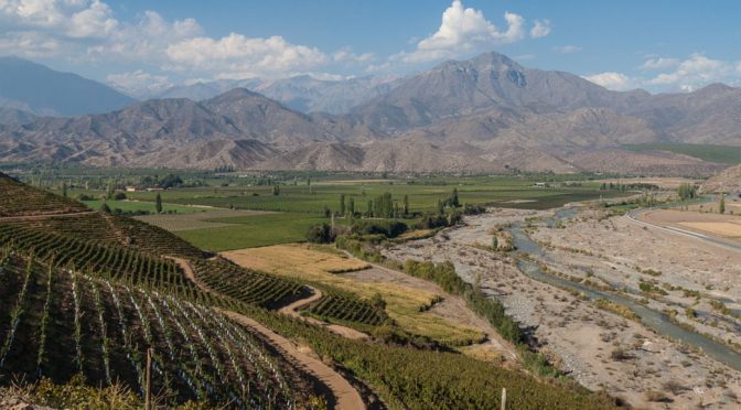 2011 Vinâ San Esteban, In Situ Chardonnay, Aconcagua, Chile