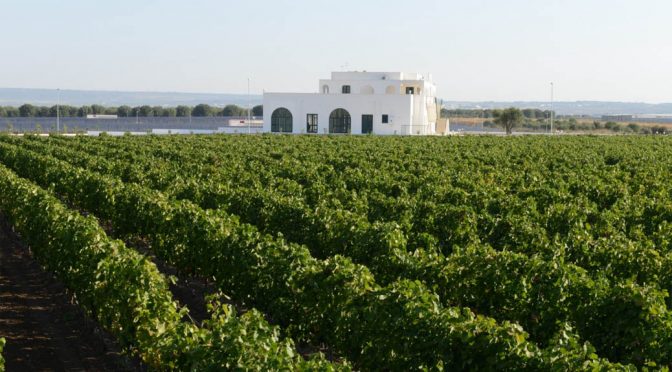 2010 Casa Vitivinicola Tinazzi, Corvina della Provincia di Verona, Veneto, Italien