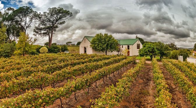 2008 Le Riche Wines, Cabernet Sauvignon Reserve, Stellenbosch, Sydafrika