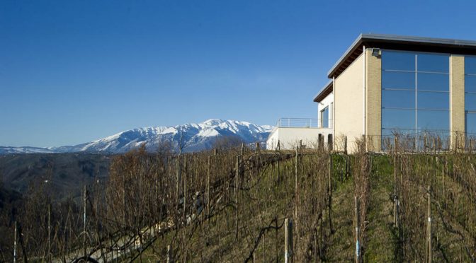 2008 Azienda Collefrisio, Uno Montepulciano d’Abruzzo, Abruzzo, Italien