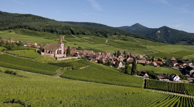 2011 Domaine David Ermel, Pinot Blanc, Alsace, Frankrig