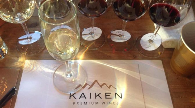 2009 Montes, Kaiken Malbec Ultra, Mendoza, Argentina