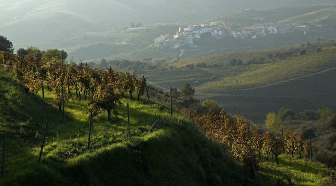 1997 Clos i Terrasses, Clos Erasmus, Priorat, Spanien