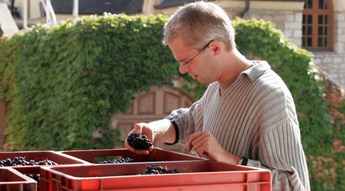 2011 Louis Bernard, Châteauneuf-du-Pape, Rhône, Frankrig