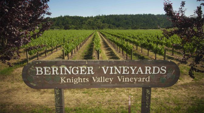 2009 Beringer Vineyards, Founders Estate Cabernet Sauvignon, Californien, USA